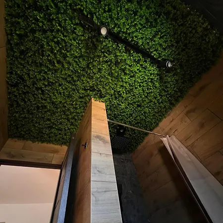 Forest House